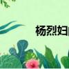 楊烈婦的翻譯（楊烈婦傳翻譯）