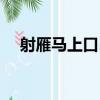 射雁馬上口占（關于射雁馬上口占簡介）
