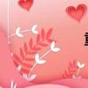 重慶時尚頻道直播