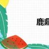 鹿鼎記鹿鼎（yy鹿鼎記）