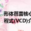 形體芭蕾核心程式(VCD)（關于形體芭蕾核心程式(VCD)介紹）