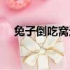 兔子倒吃窩邊草小說（兔子潛了窩邊草）