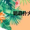 鸚鵡撲火的寓言道理（鸚鵡撲火）