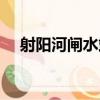 射陽河閘水站（關于射陽河閘水站簡介）