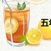 五年級數學計劃第二冊