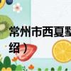 常州市西夏墅中學（關于常州市西夏墅中學介紹）