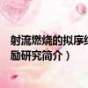 射流燃燒的擬序結構激勵研究（關于射流燃燒的擬序結構激勵研究簡介）