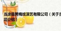 當涂縣黃梅戲演藝有限公司(關于當涂縣黃梅戲演藝有限公司介紹)