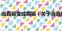 當直貓變成腐貓(關于當直貓變成腐貓介紹)