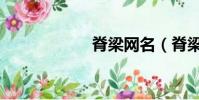 脊梁網名(脊梁網)