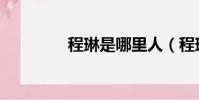 程琳是哪里人(程琳被殺)