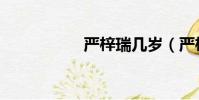 嚴梓瑞幾歲(嚴梓瑞)