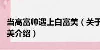 當高富帥遇上白富美(關于當高富帥遇上白富美介紹)