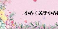 小喬(關于小喬簡介)