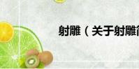 射雕(關于射雕簡介)