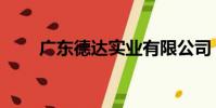 廣東德達實業有限公司(廣州達德)