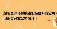 射陽縣洋馬村鎮建設綜合開發公司(關于射陽縣洋馬村鎮建設綜合開發公司簡介)