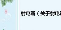 射電瓣(關于射電瓣簡介)