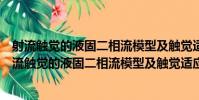 射流觸覺的液固二相流模型及觸覺適應性問題研究(關于射流觸覺的液固二相流模型及觸覺適應性問題研究簡介)