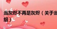 當灰燼不再是灰燼(關于當灰燼不再是灰燼介紹)