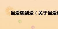 當愛遇到愛(關于當愛遇到愛介紹)