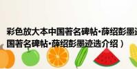 彩色放大本中國著名碑帖·薛紹彭墨跡選(關于彩色放大本中國著名碑帖·薛紹彭墨跡選介紹)
