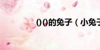 ()()的兔子(小兔子哐哐)