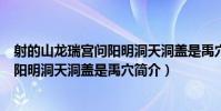射的山龍瑞宮問陽明洞天洞蓋是禹穴(關于射的山龍瑞宮問陽明洞天洞蓋是禹穴簡介)