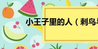 小王子里的人(刺鳥與小王子)