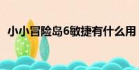 小小冒險島6敏捷有什么用(小小冒險島7)