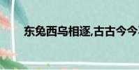 東兔西烏相逐,古古今今不問(東兔)
