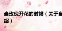 當玫瑰開花的時候(關于當玫瑰開花的時候介紹)