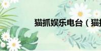 貓抓娛樂電臺(貓抓娛樂)