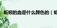 蚯蚓的血是什么顏色的(蚯蚓的血是什么顏色)