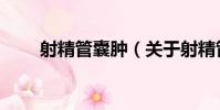 射精管囊腫(關于射精管囊腫簡介)