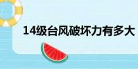 14級臺風破壞力有多大(14級臺風)