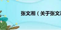 張文湘(關于張文湘介紹)