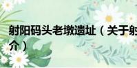 射陽碼頭老墩遺址(關于射陽碼頭老墩遺址簡介)