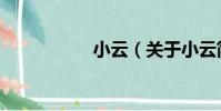 小云(關于小云簡介)