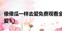 像傻瓜一樣去愛免費觀看全集(像傻瓜一樣去愛5)