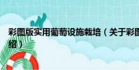 彩圖版實用葡萄設施栽培(關于彩圖版實用葡萄設施栽培介紹)