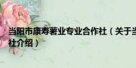 當陽市康壽薯業專業合作社(關于當陽市康壽薯業專業合作社介紹)