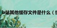 b站其他緩存文件是什么(緩存文件是什么)