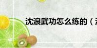 沈浪武功怎么練的(沈浪武功)