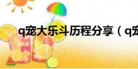 q寵大樂斗歷程分享(q寵大樂斗伴侶)