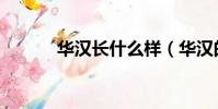 華漢長什么樣(華漢的女朋友)
