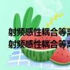 射頻感性耦合等離子體中與容性耦合有關的問題研究（關于射頻感性耦合等離子體中與容性耦合有關的問題研究簡介）