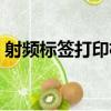 射頻標簽打印機（關于射頻標簽打印機簡介）