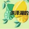 洪澤湖的資料簡介（洪澤湖的資料）