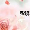 彭曉玲（關于彭曉玲介紹）